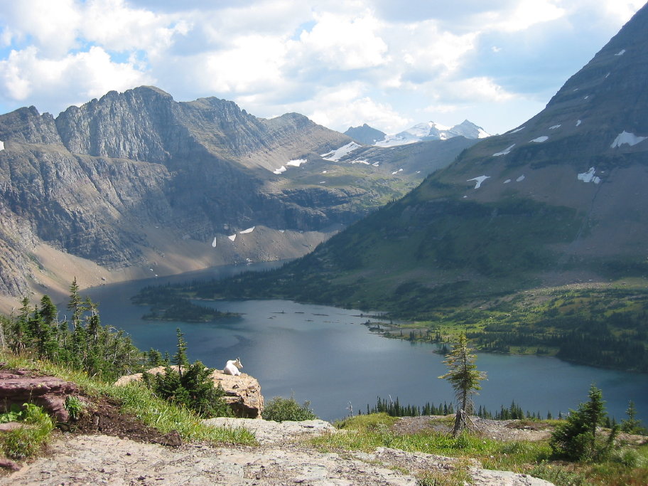 Glacier 2006 Logan Pass093