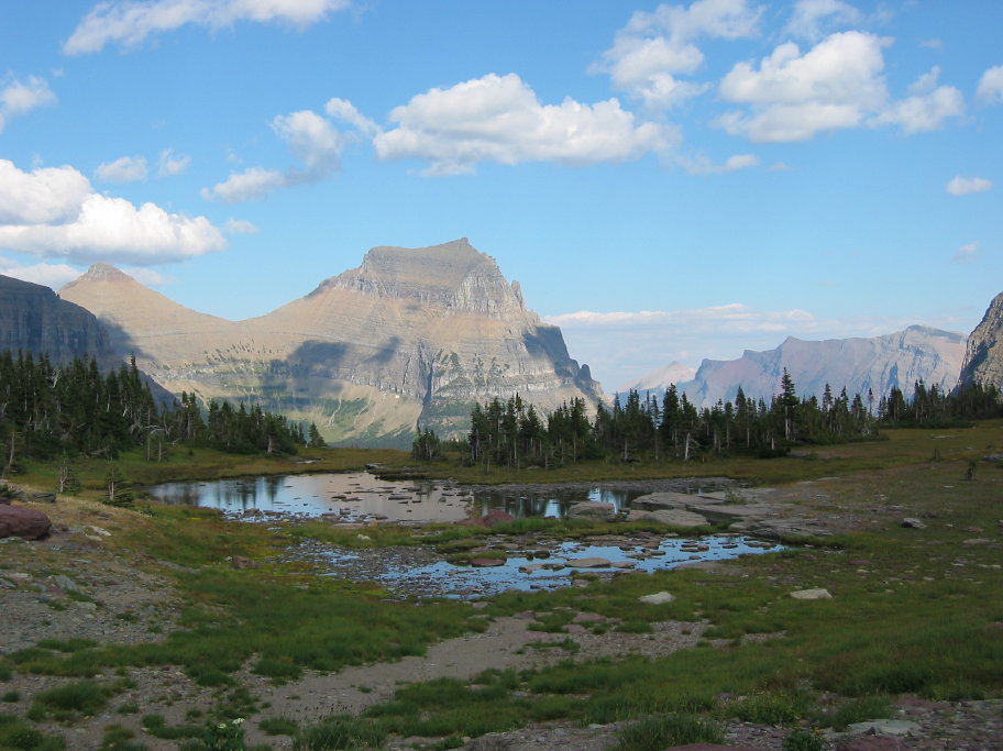 Glacier 2006 Logan Pass112
