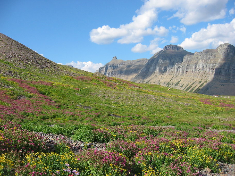 Glacier 2006 Logan Pass120