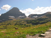 Glacier 2006 Logan Pass009