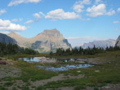 Glacier 2006 Logan Pass112