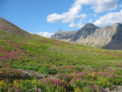 Glacier 2006 Logan Pass120