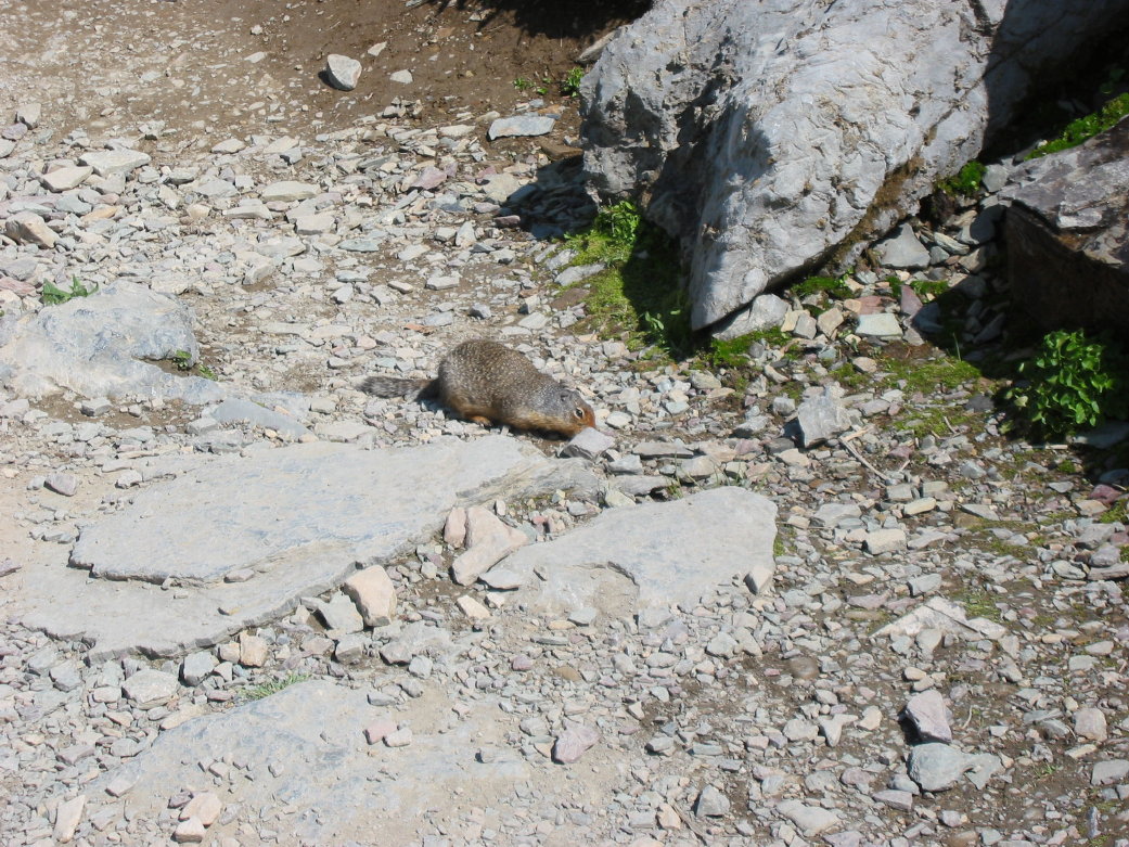 Image007