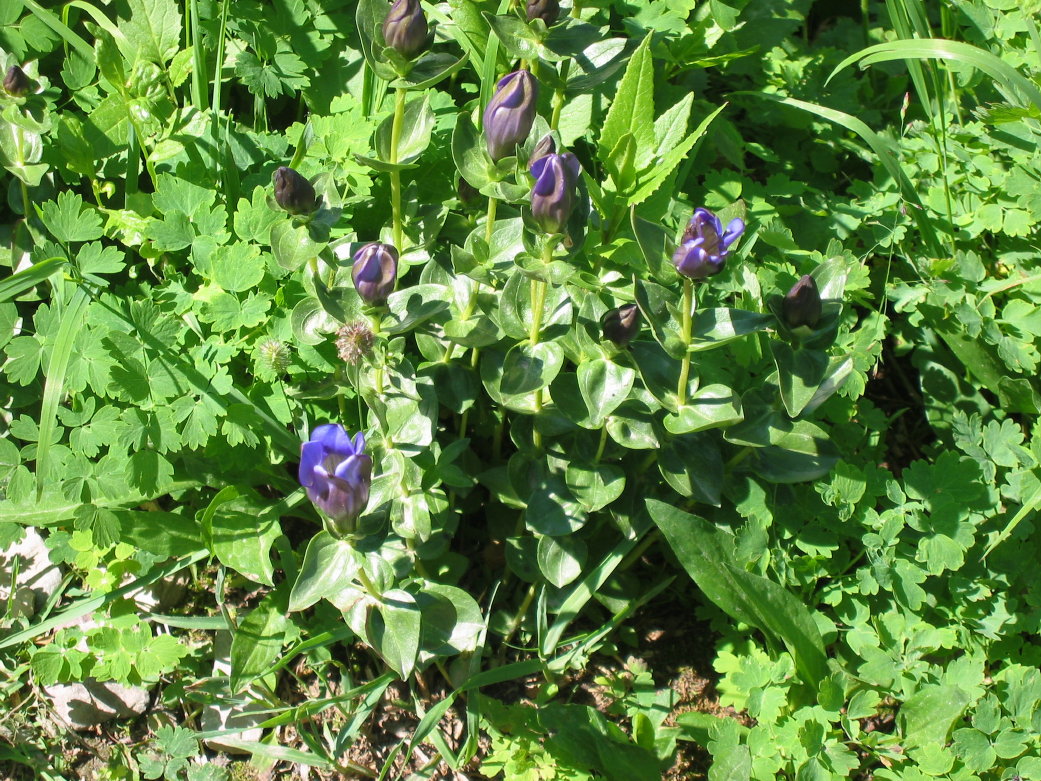 Image008