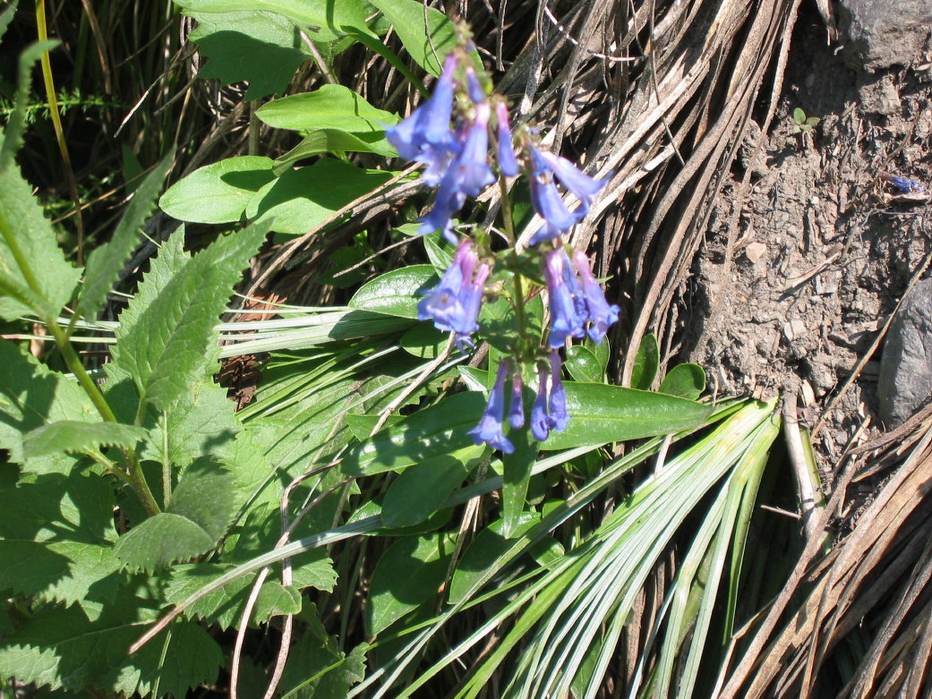 Image011