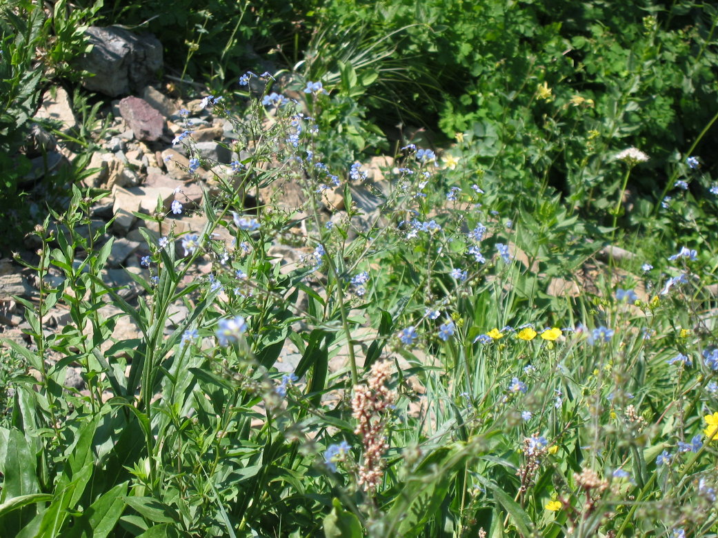 Image012