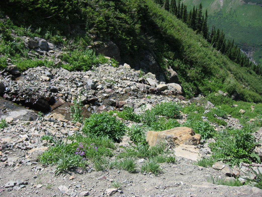 Image013