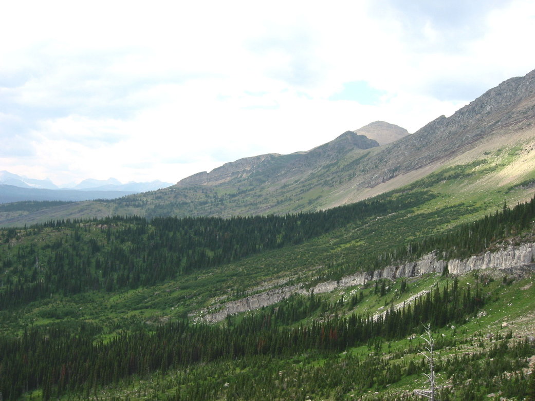 Image047