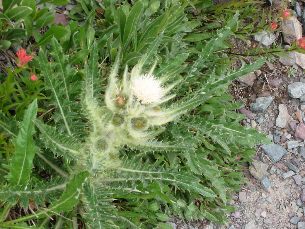 Image058
