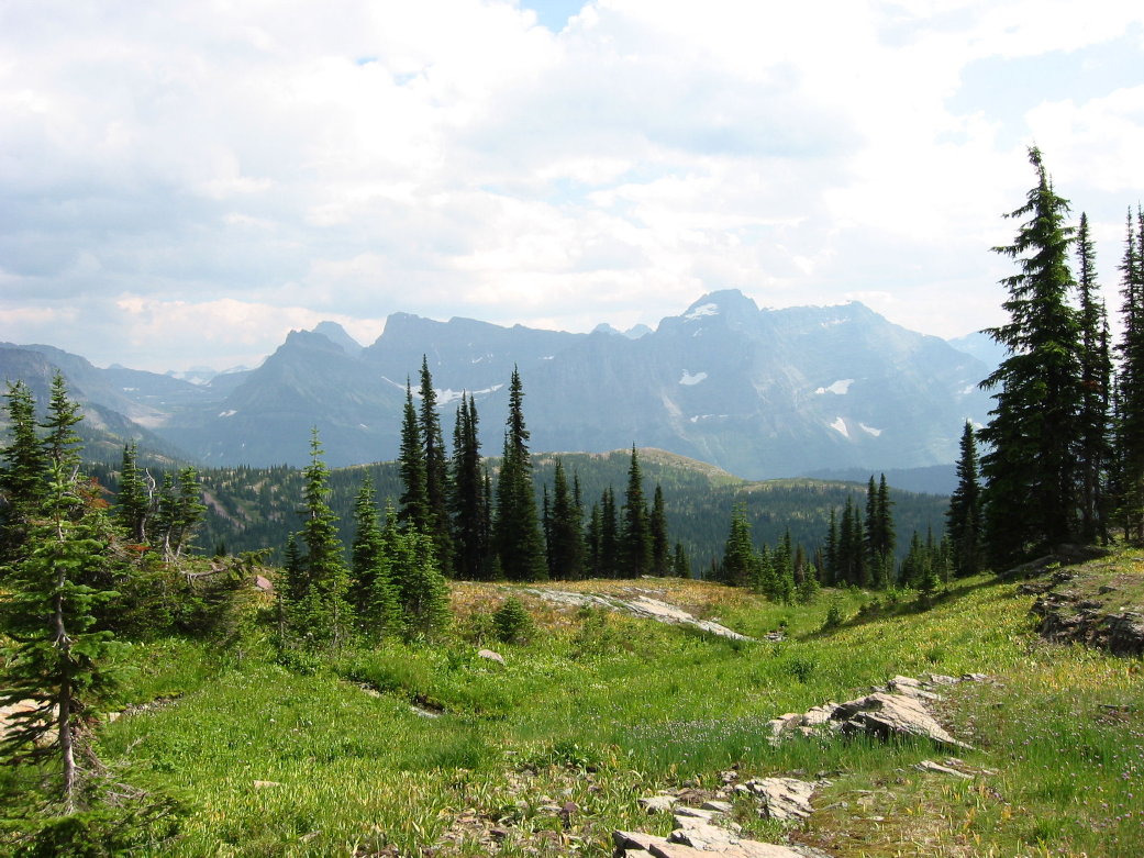 Image062