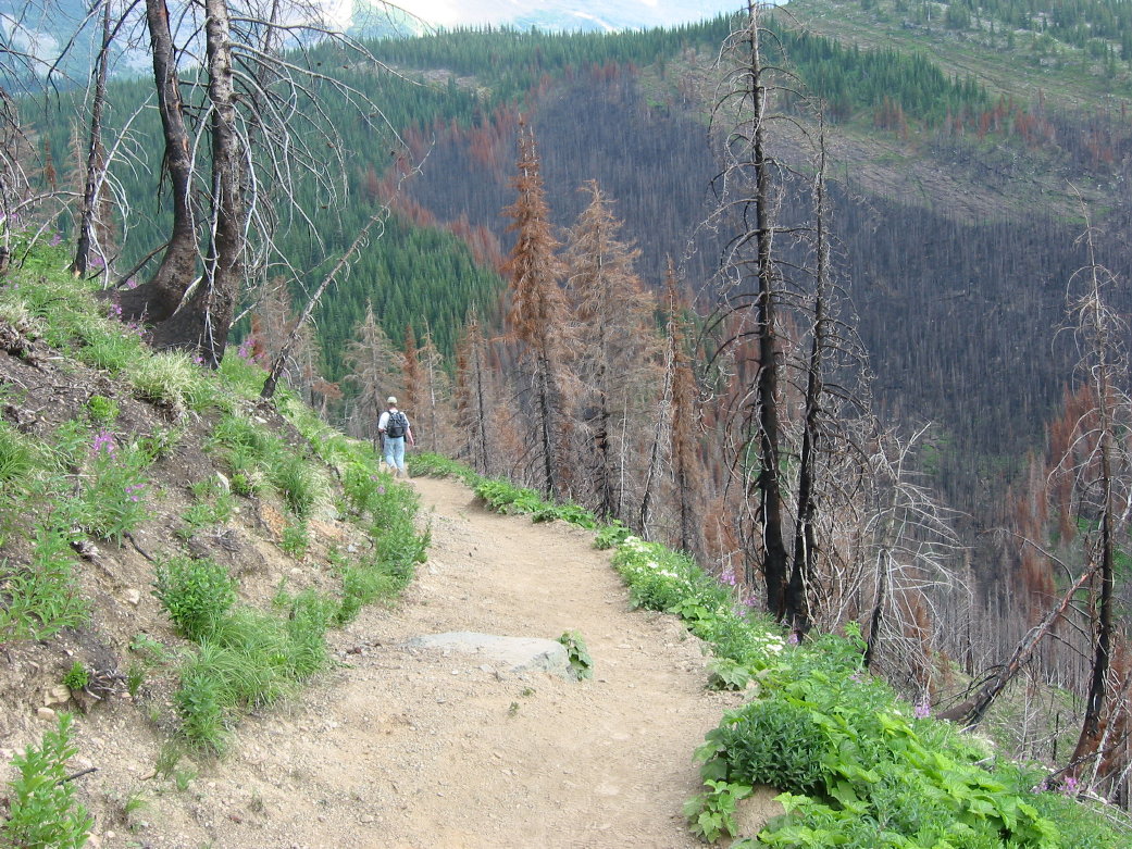 Image067