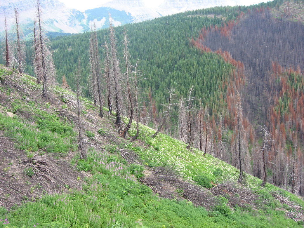 Image068