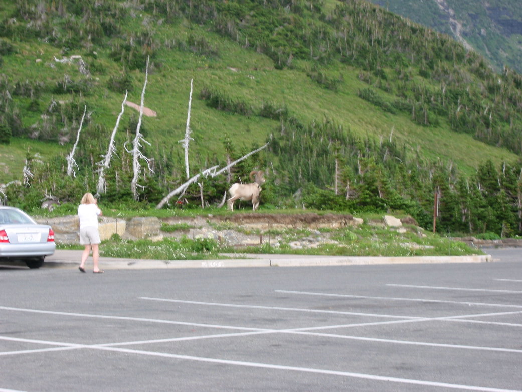 Image072