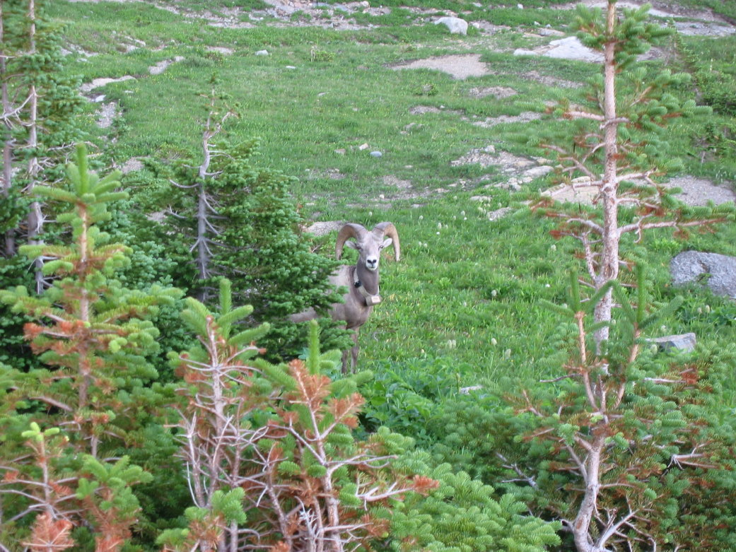 Image074
