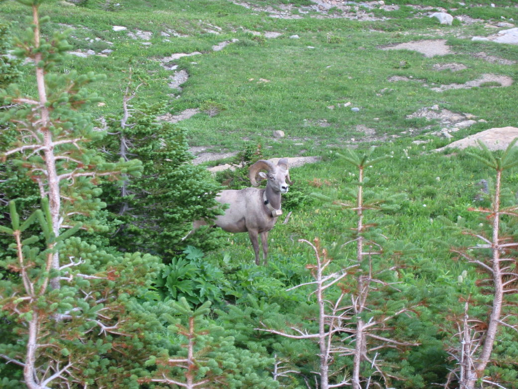 Image075