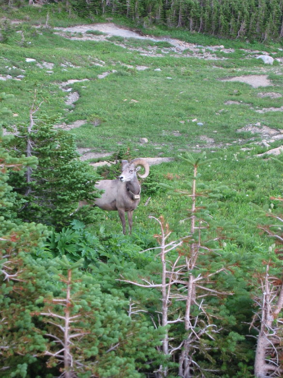 Image076