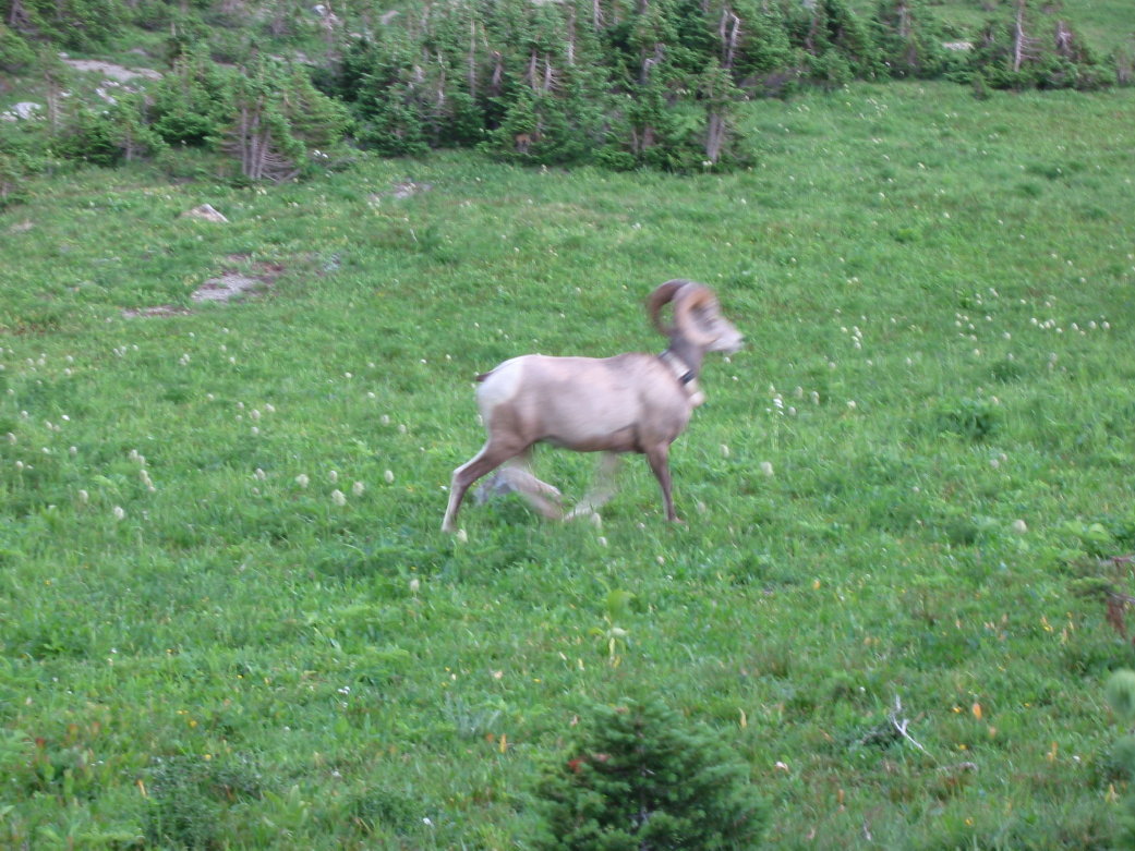 Image078