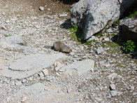 Image007