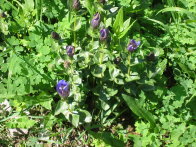 Image008