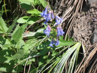 Image011
