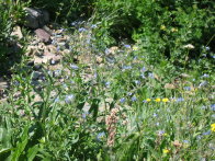 Image012
