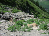 Image013