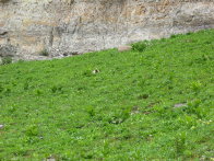 Image052