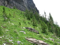 Image053