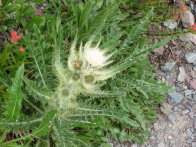Image058