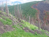 Image068