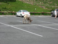 Image071
