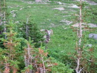 Image074