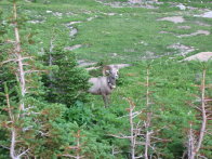 Image075