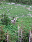 Image076