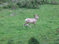 Image078