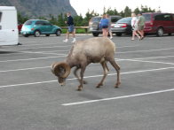 Image079