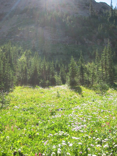 Image004