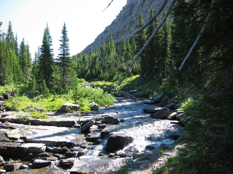 Image005