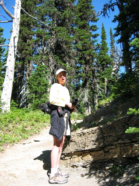 Image008