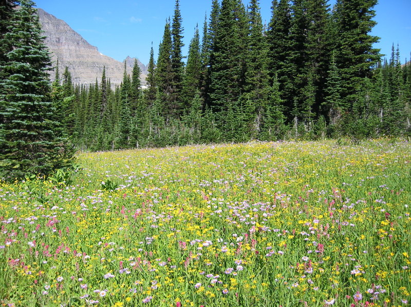 Image010