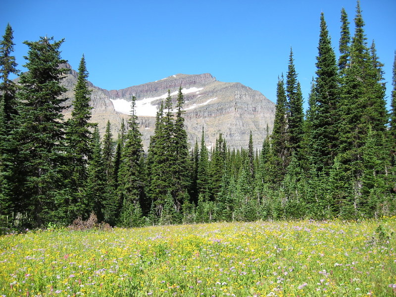 Image012