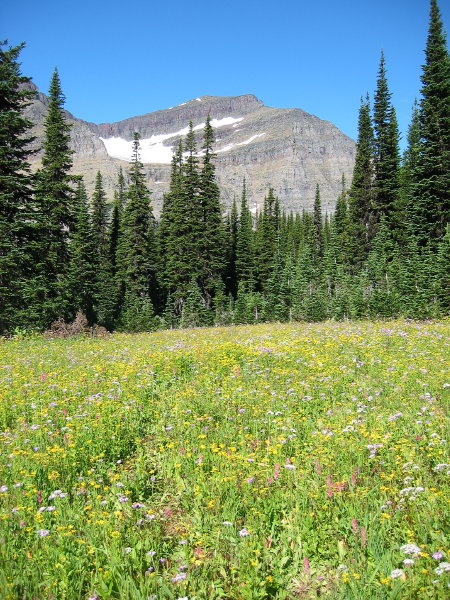 Image013