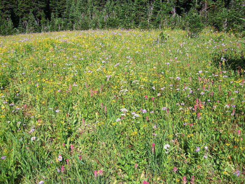 Image014