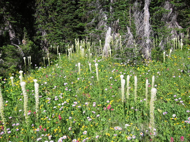 Image015