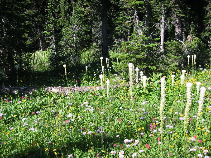 Image016