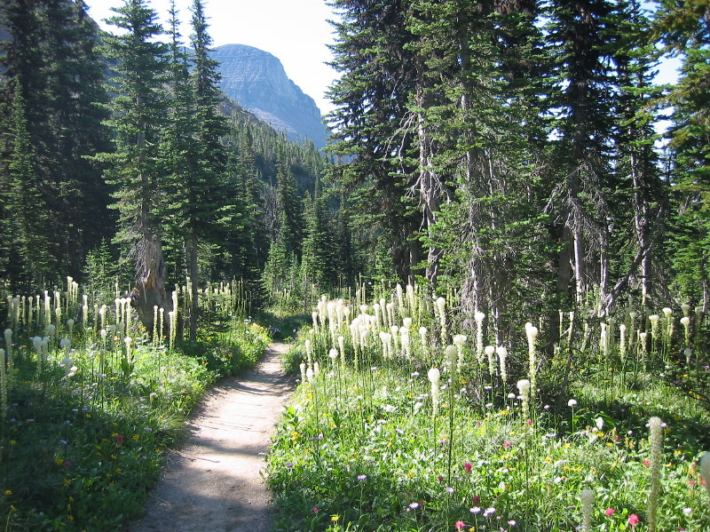 Image017