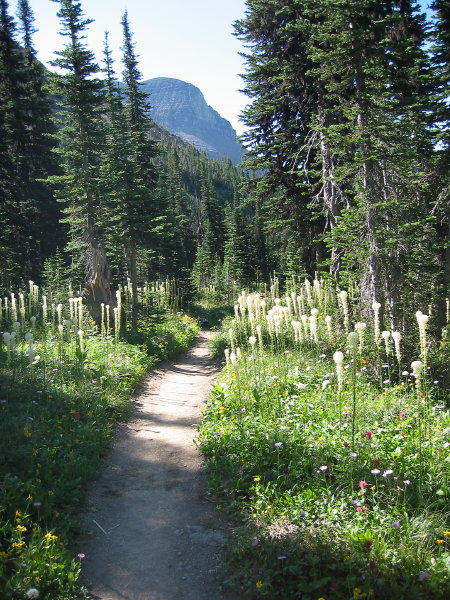 Image018