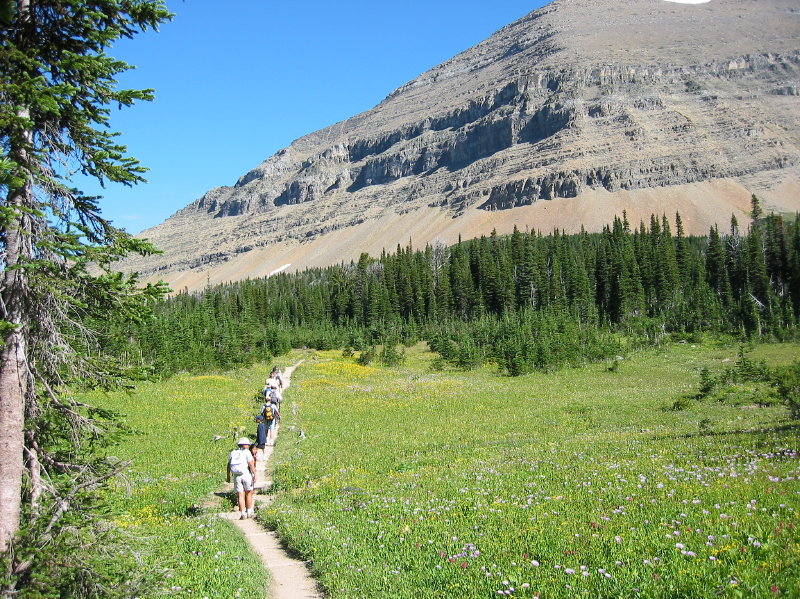 Image019
