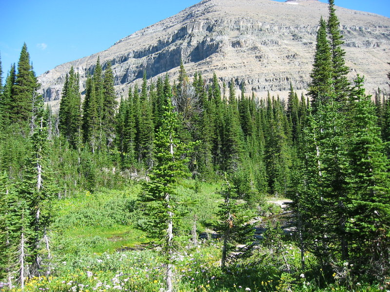 Image022