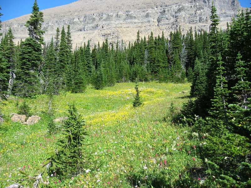 Image025